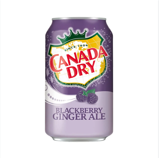 Blackberry Ginger Ale